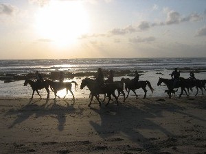 טיול סוסים בקבוצה עם הדרכה 